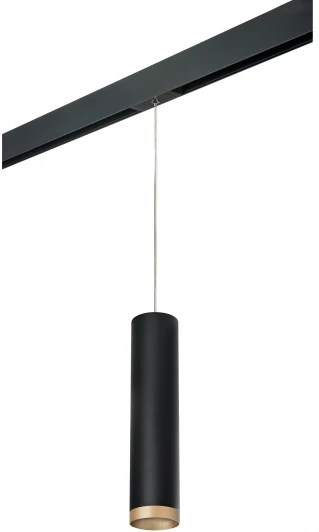 PRORP49740 Трековый светильник однофазный 220V Lightstar Rullo PRORP49740 (круглые)