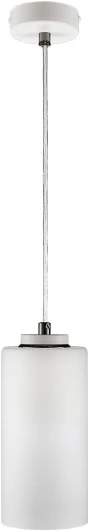 PND141.01.04.001.WH-S16WH Подвесной светильник 33 ИДЕИ PND141.01.04.001.WH-S16WH (220V, на проводе, круглые)