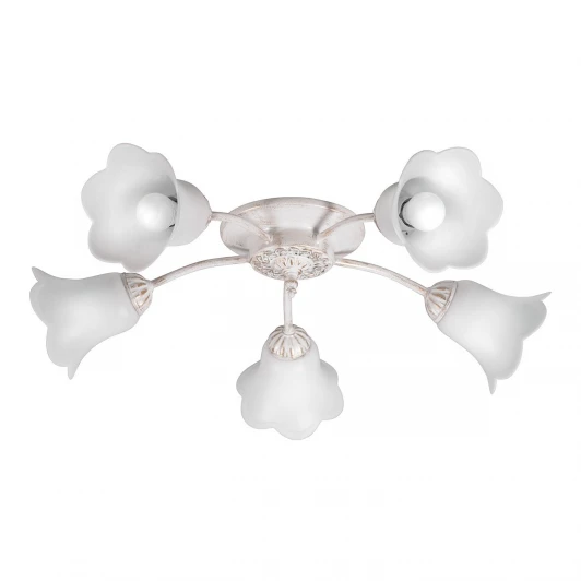 S9153-5 Потолочная люстра Day&Night S9153-5