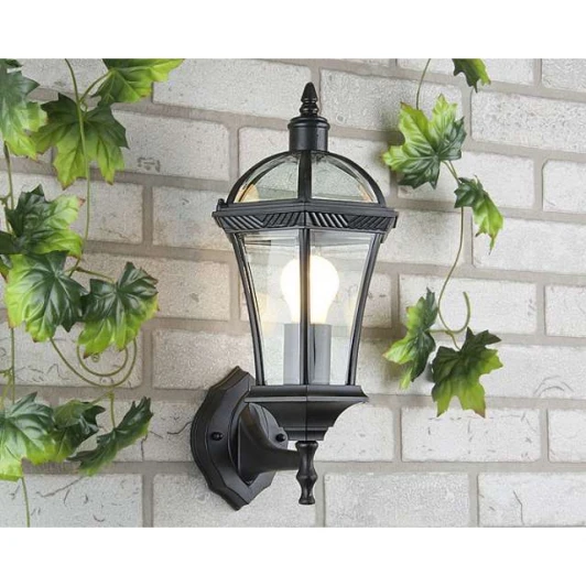 Capella черный Настенный фонарь уличный Elektrostandard Capella черный