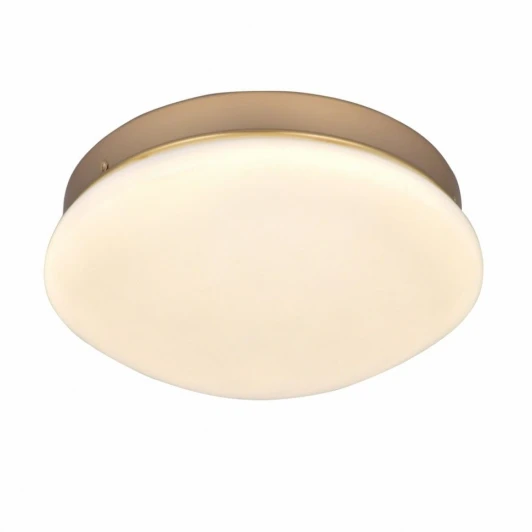 2466-1C Потолочный светильник F-Promo Ledante 2466-1C