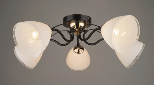 H210-5 Потолочная люстра Hiper Cleo H210-5