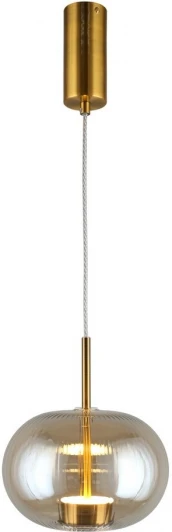 APL.057.06.12 Подвесной светильник Aployt Ambr APL.057.06.12 (LED, 220V, на проводе, шар)