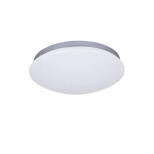 2467-2C Потолочный светильник F-Promo Ledante 2467-2C