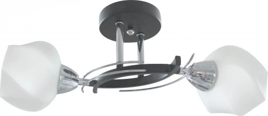 TL7380X-02BC Потолочная люстра Toplight Lia TL7380X-02BC