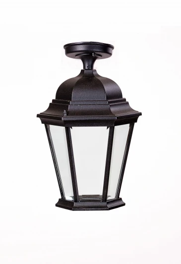 91405LA Bl Потолочный светильник уличный Oasis Light ASTORIA 2 91405LA Bl (220V, IP44)