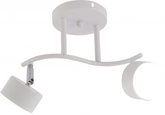 7080-702 Потолочный спот Rivoli Batty 7080-702 2хGX53 15 Вт поворотный