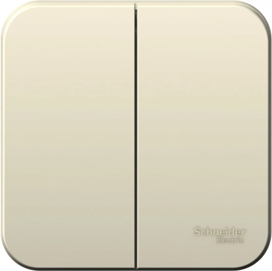 BLNVA065002 Выключатель накладной двухклавишный (молочный) Systeme Electric Blanca BLNVA065002