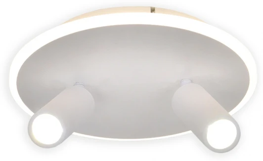 20046SMA/02LED WH Настенно-потолочный светодиодный светильник 20046LED 20046SMA/02LED WH 28Вт, металл/акрил, белый (220V, круглые)