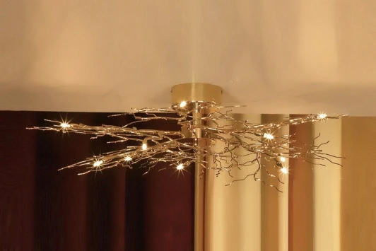 LSQ-9017-10 Потолочная люстра Lussole Autunnale LSQ-9017-10