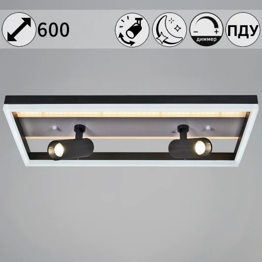 77028-3.3-102+10 Потолочная люстра светодиодная с пультом Reluce 77028-3.3-102+10