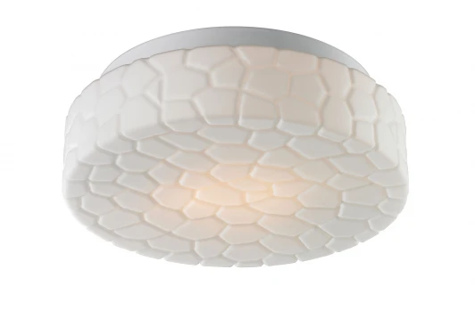 A5330PL-2WH Потолочный светильник Arte Lamp Aqua A5330PL-2WH