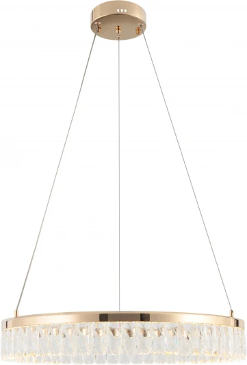 6131-104 Подвесной светильник светодиодный Rivoli Erika 6131-104 (220V, на тросе, круглые)