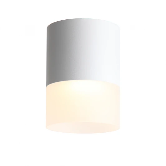 ST100.502.15 Накладной точечный светильник ST Luce Ottu ST100.502.15