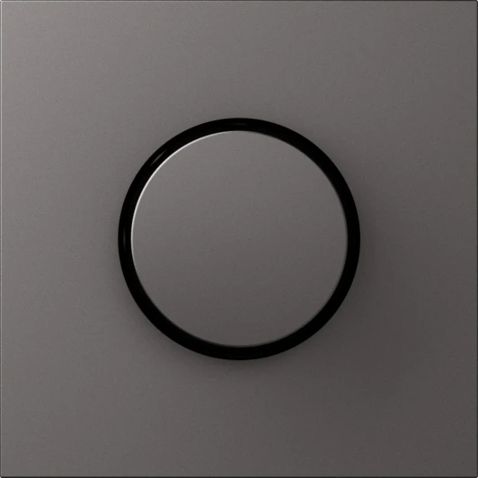 DS65045 Накладка для светорегулятора поворотного, матовый титан Donel S08 DS65045