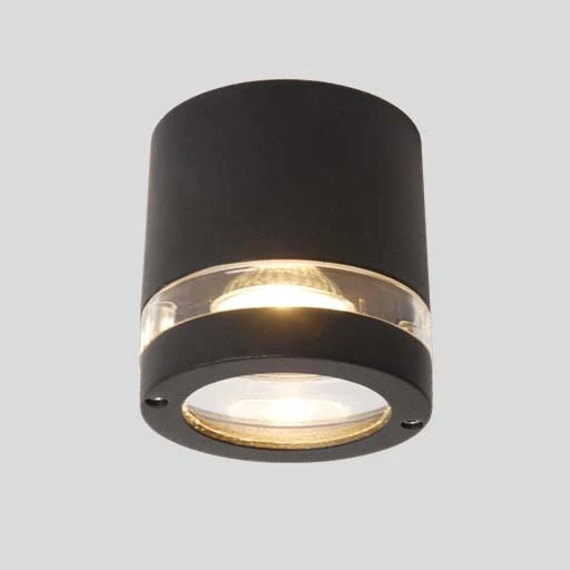 6042 Gr Потолочный светильник уличный Oasis Light 6042 Gr