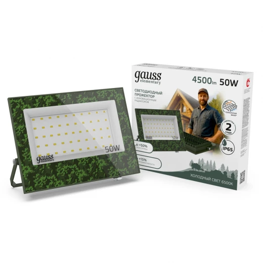 GFD004 Прожектор уличный светодиодный Gauss GFD004