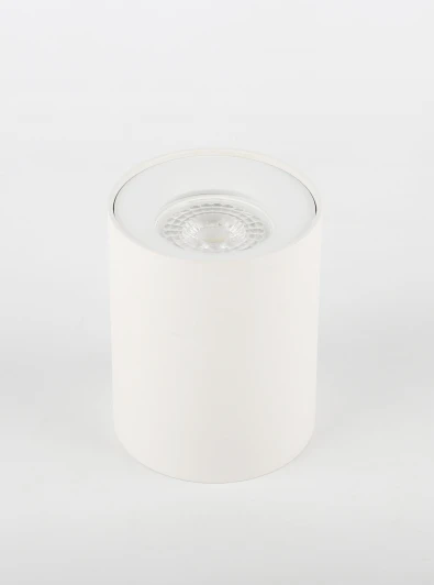 OL1 GU10 WH Накладной точечный светильник Эра OL1 GU10 WH