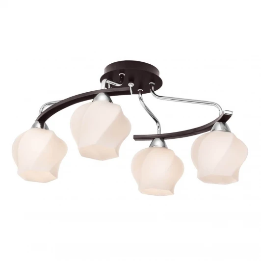 228.59.4 Потолочная люстра Silver Light Aranda 228.59.4