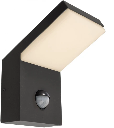 731133 Уличный настенный светильник Deko-Light Tucanae 731133 (LED, 220V, IP54)