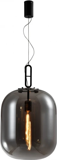 4265-1P Подвесной светильник Favourite Canister 4265-1P (220V, на тросе)