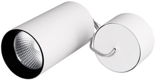 022947 Светильник подвесной SP-POLO-R85-2-15W Warm White 40deg (White, Black Ring) (IP20 Металл) 022947