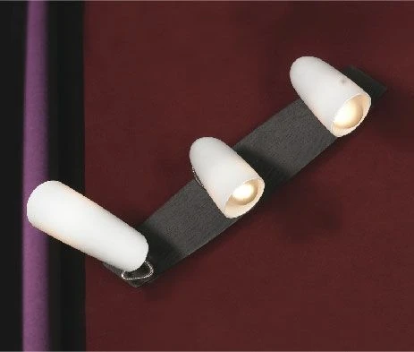 LSN-4901-03 Настенный светильник Lussole Sava LSN-4901-03