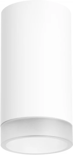 R4363437 Точечный светильник накладной Lightstar Rullo R4363437 (220V, круглые)