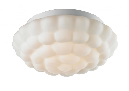 A5130PL-2WH Потолочный светильник Arte Lamp Aqua A5130PL-2WH