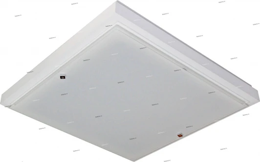 106-11-22/1 Дубравия Полина 106-11-22/1