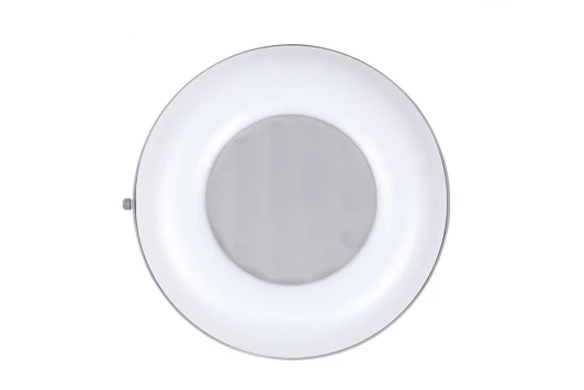 3331 Потолочный светильник уличный Oasis Light 3331