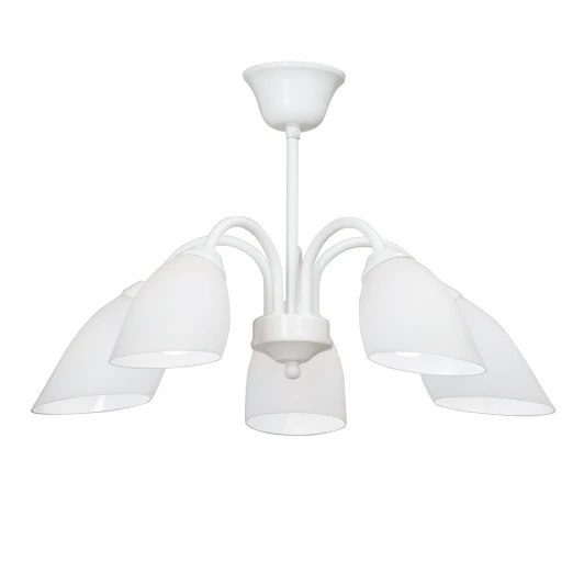 V3336-0/5PL Потолочная люстра Vitaluce V3336-0/5PL (220V)