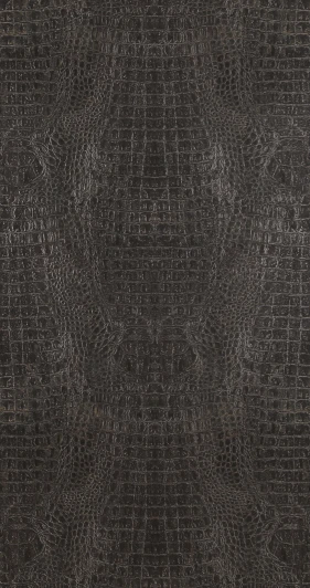 BN 17950 Обои виниловые BN International Curious BN 17950 10,05 x 0,53 м