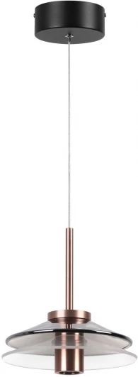 722013201 Подвесной светильник DeMarkt Ауксис 722013201