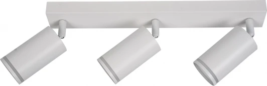 BR08091 Потолочный светильник спот Brizzi Aras BR08091