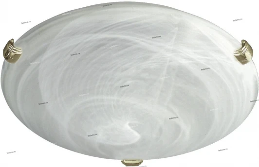 70748-01-31 Massive 70748-01-31