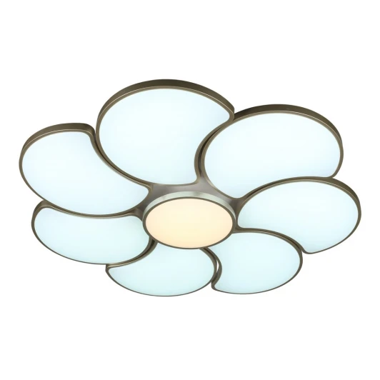 OML-18507-94 Потолочный светильник Omnilux Arielli OML-18507-94