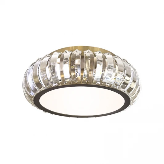 L95910.86 Потолочный светильник L'Arte Luce Ruoto L95910.86