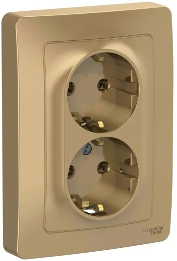 BLNRS001024 Розетка встраиваемая двойная с заземлением (титан) Systeme Electric Blanca BLNRS001024