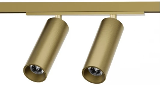 DK5742-SB Трековый светильник для магнитного шинопровода Denkirs Shine Spot DK5742-SB 48V 8W*2 сатинированная латунь (LED, круглые)