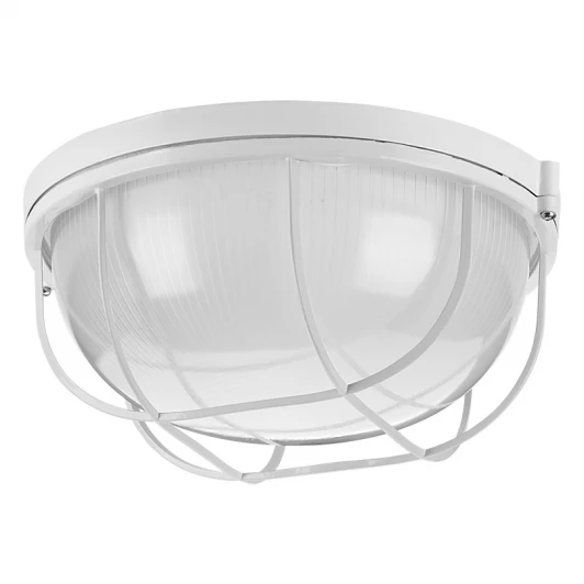 ДПБ03-100-002 Настенно-потолочный светильник Wolta ДПБ03-100-002 под лампу E27 IP54