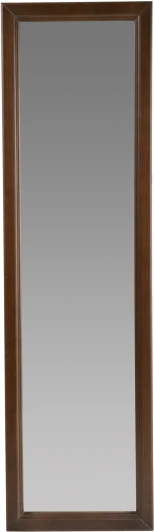 000342 Зеркало настенное Селена средне-коричневый 116 см х 33,7 см от фабрики Mebelik