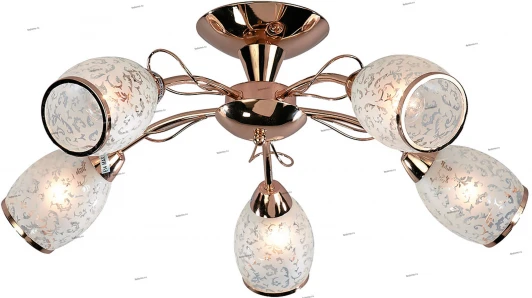 015/5PL Myone 015 015/5PL