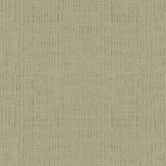 30562 Рулонные обои Casual 30562