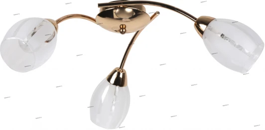 116/3PL Myone 116 116/3PL