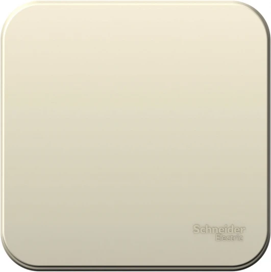 BLNVA061002 Выключатель накладной одноклавишный (молочный) Systeme Electric Blanca BLNVA061002