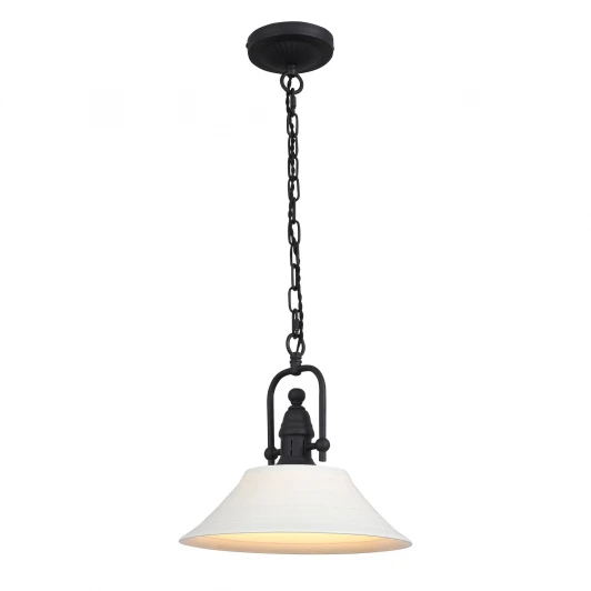 SL261.503.01 Подвесной светильник ST Luce Pittura SL261.503.01