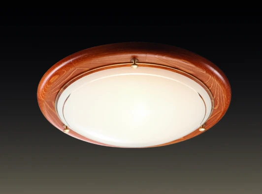 226 Настенно-потолочный светильник Sonex Riga 226