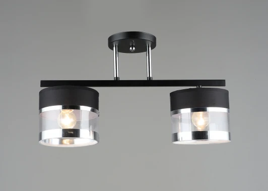 000060449 Потолочная люстра на штанге Мелодия Света 000060449