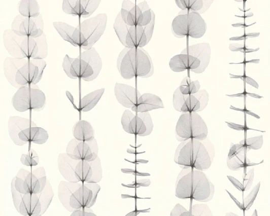 34246-2 Обои виниловые A.S. Creation X-Ray 34246-2 10,05 x 0,53 м